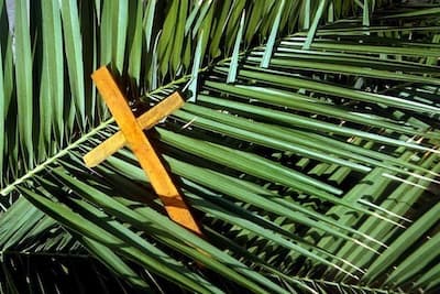 Palm Sunday fronds Victoria