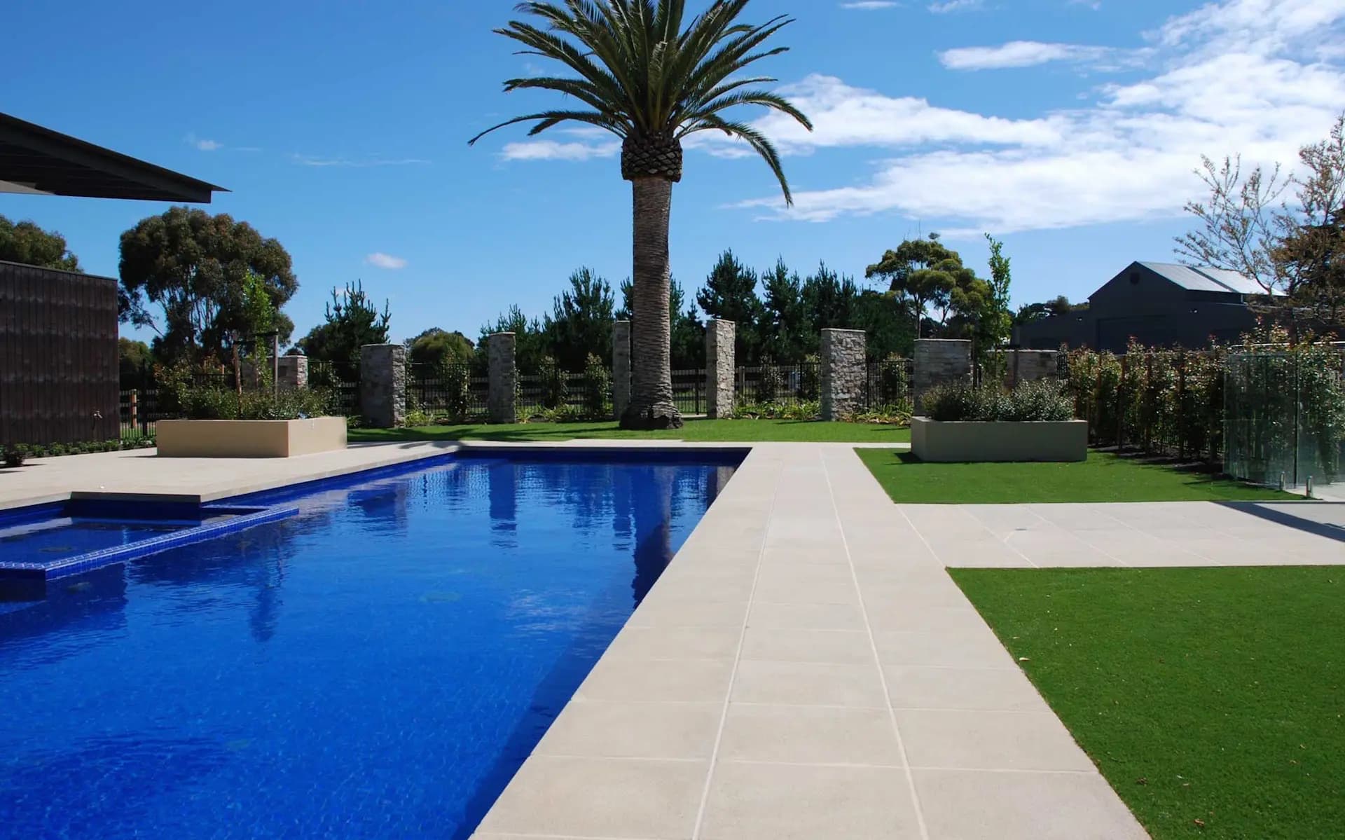 Canary Date Palm landscape in Victoria