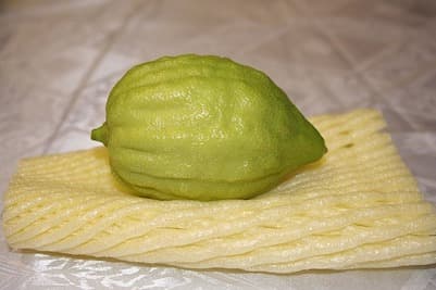 Sukkah fruit and palm fronds
